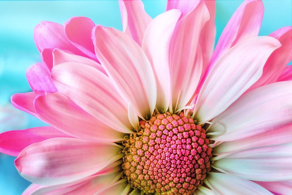 Kindertrends zomer 2018 top 15 meisjes