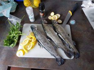 bbq forel - Cadeaus, taart en gezelligheid - Sara 3 jaar